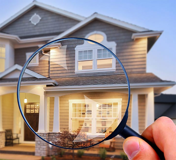 Pre-Purchase Termite Inspection