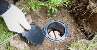 Termite Baiting System