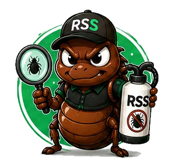 Bed Bug Extermination