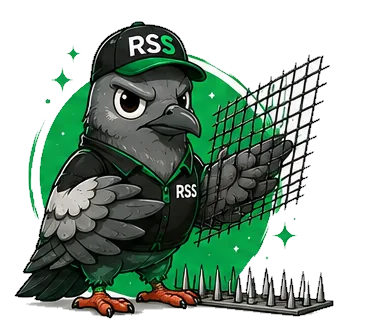 Bird Control