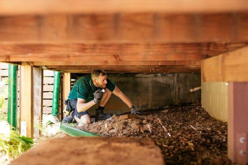 Visual Inspection